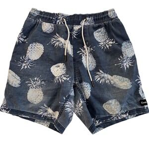 Barney Cools Distressed Grunge Pineapple Boardshorts, Barney Cools Mens 195